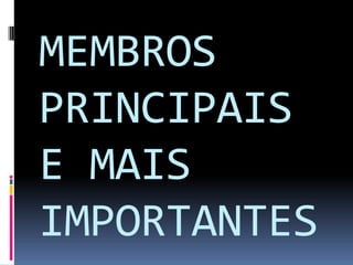 MEMBROS PRINCIPAIS E MAIS IMPORTANTES