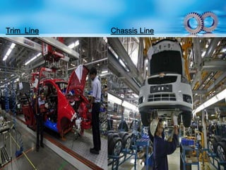 Trim Line Chassis Line 
 