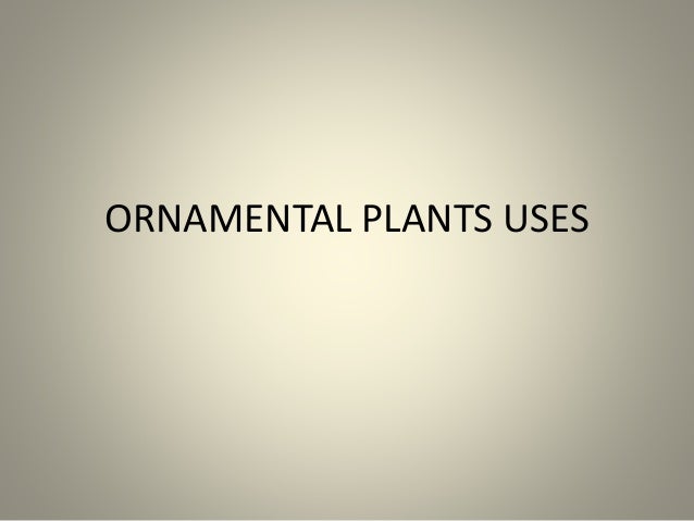 Ornamental Plant Uses
