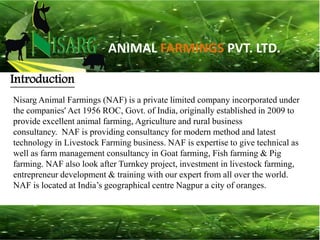 Nisarg Animal Farmings (NAF) is a private limited company incorporated under
the companies' Act 1956 ROC, Govt. of India, originally established in 2009 to
provide excellent animal farming, Agriculture and rural business
consultancy. NAF is providing consultancy for modern method and latest
technology in Livestock Farming business. NAF is expertise to give technical as
well as farm management consultancy in Goat farming, Fish farming & Pig
farming. NAF also look after Turnkey project, investment in livestock farming,
entrepreneur development & training with our expert from all over the world.
NAF is located at India’s geographical centre Nagpur a city of oranges.
Introduction
ANIMAL FARMINGS PVT. LTD.
 