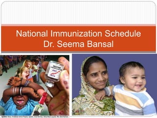 National Immunization Schedule
Dr. Seema Bansal
 