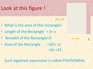 Look at this figure ! 
5 c.m 
• What is the area of this rectangle? 
• Length of the Rectangle = 5+ x 
• Breadth of the Rectangle=3 
• Area of the Rectangle =3(5+ x) 
=3x +15 
3 c.m 
Such algebraic expression is called POLYNOMIAL 
x 
 