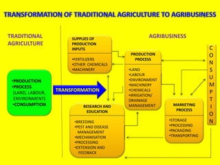 •PRODUCTION
•PROCESS
(LAND, LABOUR,
ENVIRONMENT)
•CONSUMPTION
SUPPLIES OF
PRODUCTION
INPUTS
•FERTILIZERS
•OTHER CHEMICALS
•MACHINERY
RESEARCH AND
EDUCATION
•BREEDING
•PEST AND DISEASE
MANAGEMENT
•MECHANISATION
•PROCESSING
•EXTENSION AND
FEEDBACK
PRODUCTION
PROCESS
•LAND
•LABOUR
•ENVIRONMENT
•MACHINERY
•CHEMICALS
•IRRIGATION/
DRAINAGE
MANAGEMENT MARKETING
PROCESS
•STORAGE
•PROCESSING
•PACKAGING
•TRANSPORTING
C
O
N
S
U
M
P
T
I
O
N
AGRIBUSINESSTRADITIONAL
AGRICULTURE
TRANSFORMATION
 