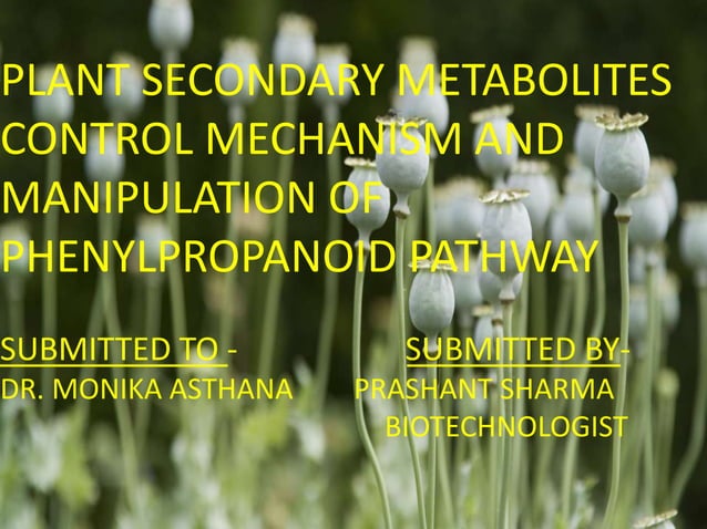 plant secondary metabolites control mechanism and manipulation of ...
