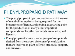 plant secondary metabolites control mechanism and manipulation of ...