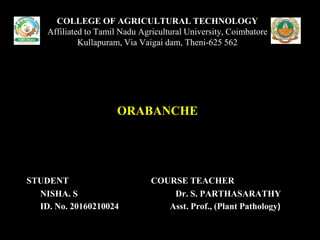 STUDENT COURSE TEACHER
NISHA. S Dr. S. PARTHASARATHY
ID. No. 20160210024 Asst. Prof., (Plant Pathology)
COLLEGE OF AGRICULTURAL TECHNOLOGY
Affiliated to Tamil Nadu Agricultural University, Coimbatore
Kullapuram, Via Vaigai dam, Theni-625 562
ORABANCHE
 
