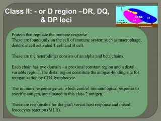 Class ІІ: - or D region –DR, DQ,
& DP loci
Protein that regulate the immune response
These are found only on the cell of i...