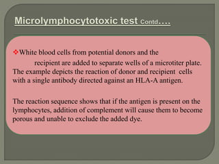 It has been observed that lymphocytes from one donor, when
cultured with lymphocytes from an unrelated donor, are
stimulat...