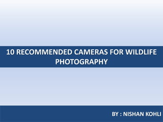 10 RECOMMENDED CAMERAS FOR WILDLIFE
PHOTOGRAPHY
BY : NISHAN KOHLI
 