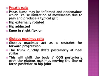  Psoatic gait:
 Psoas bursa may be inflamed and endemalous
which cause limitation of movements due to
pain and produce a typical gait
 Hip externally rotated
 Hip adducted
 Knee in slight flexion
 Gluteus maximus gait:
 Gluteus maximus act as a restraint for
forward progression
 The trunk quickly shifts posteriorly at heel
strike
 This will shift the body s’ COG posteriorly
over the gluteus maximus moving the line of
force posterior to hip joint
 