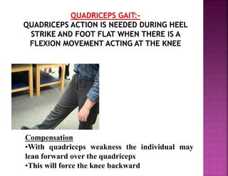 Compensation
•With quadriceps weakness the individual may
lean forward over the quadriceps
•This will force the knee backward
 
