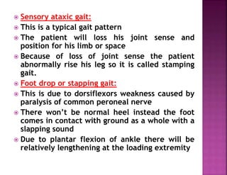  Sensory ataxic gait:
 This is a typical gait pattern
 The patient will loss his joint sense and
position for his limb or space
 Because of loss of joint sense the patient
abnormally rise his leg so it is called stamping
gait.
 Foot drop or stapping gait:
 This is due to dorsiflexors weakness caused by
paralysis of common peroneal nerve
 There won’t be normal heel instead the foot
comes in contact with ground as a whole with a
slapping sound
 Due to plantar flexion of ankle there will be
relatively lengthening at the loading extremity
 