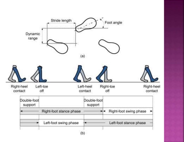Gait Analysis in Biomechanics | PPTX