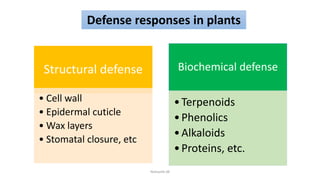 Nishanth.M I,d no. 6021 plant pathogen interaction.pptx
