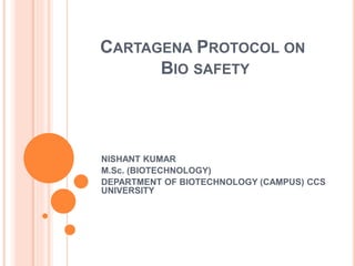 CARTAGENA PROTOCOL ON
BIO SAFETY
NISHANT KUMAR
M.Sc. (BIOTECHNOLOGY)
DEPARTMENT OF BIOTECHNOLOGY (CAMPUS) CCS
UNIVERSITY
 