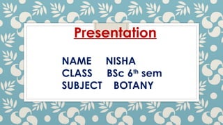 Nisha (photosynthesis) (1).pptx in hindi | PPTX