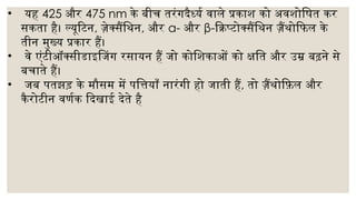 Nisha (photosynthesis) (1).pptx in hindi | PPTX