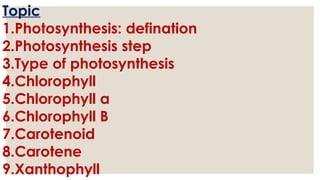 Nisha (photosynthesis) (1).pptx in hindi | PPTX