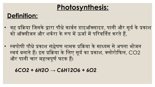 Nisha (photosynthesis) (1).pptx in hindi | PPTX