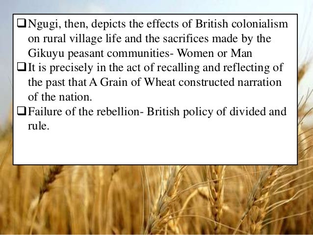 Discuss characterization and role mumbi novel grain wheat