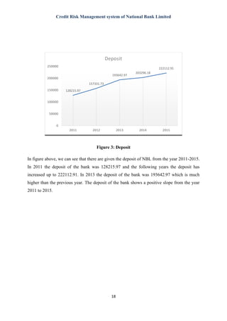 Report on Credit risk management | PDF