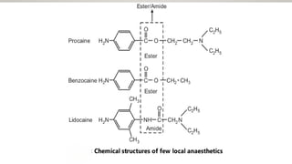 Local & General Anesthetic ppt by Nishigandh Abhay Mokal | PPTX