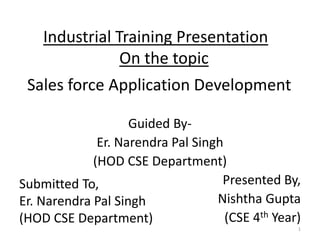 Sales force Application Development
Guided By-
Er. Narendra Pal Singh
(HOD CSE Department)
Presented By,
Nishtha Gupta
(CSE 4th Year)
Industrial Training Presentation
On the topic
Submitted To,
Er. Narendra Pal Singh
(HOD CSE Department)
1
 