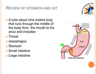 REVIEW OF STOMACH AND GIT
 A tube about nine meters long
that runs through the middle of
the body from the mouth to the
anus and includes:
 Throat
 oesophagus
 Stomach
 Small intestine
 Large intestine
 
