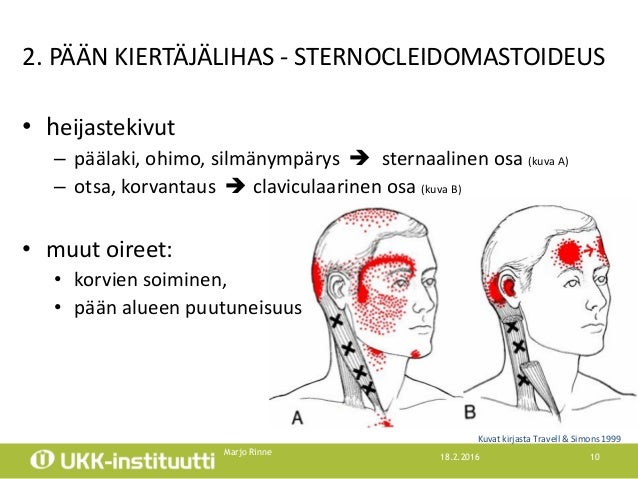 Niskakivut Ja P ns rky Marjo Rinne Niskakivut Ja P ns rky Marjo Rinne