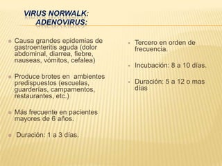 VIRUS NORWALK:
ADENOVIRUS:
 Causa grandes epidemias de
gastroenteritis aguda (dolor
abdominal, diarrea, fiebre,
nauseas, vómitos, cefalea)
 Produce brotes en ambientes
predispuestos (escuelas,
guarderías, campamentos,
restaurantes, etc.)
 Más frecuente en pacientes
mayores de 6 años.
 Duración: 1 a 3 días.
 Tercero en orden de
frecuencia.
 Incubación: 8 a 10 días.
 Duración: 5 a 12 o mas
días
 