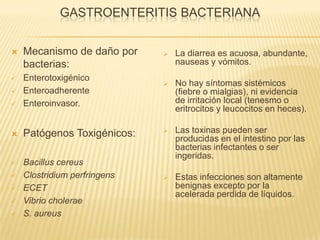 GASTROENTERITIS BACTERIANA
 Mecanismo de daño por
bacterias:
 Enterotoxigénico
 Enteroadherente
 Enteroinvasor.
 Patógenos Toxigénicos:
 Bacillus cereus
 Clostridium perfringens
 ECET
 Vibrio cholerae
 S. aureus
 La diarrea es acuosa, abundante,
nauseas y vómitos.
 No hay síntomas sistémicos
(fiebre o mialgias), ni evidencia
de irritación local (tenesmo o
eritrocitos y leucocitos en heces).
 Las toxinas pueden ser
producidas en el intestino por las
bacterias infectantes o ser
ingeridas.
 Estas infecciones son altamente
benignas excepto por la
acelerada perdida de líquidos.
 