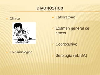 DIAGNÓSTICO
 Clínico
 Epidemiológico
 Laboratorio:
 Examen general de
heces
 Coprocultivo
 Serología (ELISA)
 