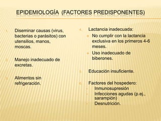 EPIDEMIOLOGÍA (FACTORES PREDISPONENTES)
1. Diseminar causas (virus,
bacterias o parásitos) con
utensilios, manos,
moscas.
2. Manejo inadecuado de
excretas.
3. Alimentos sin
refrigeración.
4. Lactancia inadecuada:
 No cumplir con la lactancia
exclusiva en los primeros 4-6
meses.
 Uso inadecuado de
biberones.
5. Educación insuficiente.
6. Factores del hospedero:
• Inmunosupresión
• Infecciones agudas (p.ej.,
sarampión)
• Desnutrición.
 