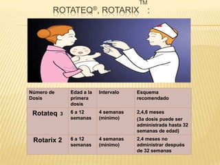 ROTATEQ®, ROTARIX
TM
:
Número de
Dosis
Edad a la
primera
dosis
Intervalo Esquema
recomendado
Rotateq 3 6 a 12
semanas
4 semanas
(mínimo)
2,4,6 meses
(3a dosis puede ser
administrada hasta 32
semanas de edad)
Rotarix 2 6 a 12
semanas
4 semanas
(mínimo)
2,4 meses no
administrar después
de 32 semanas
 