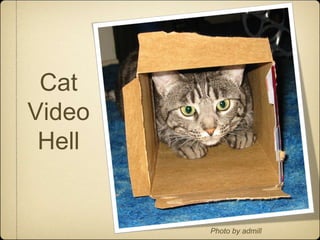 Cat
Video
 Hell


        Photo by admill
 