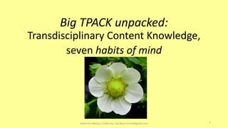 Big TPACK unpacked:
Transdisciplinary Content Knowledge,
seven habits of mind
Katherine Watson, California, Usa Bizarrissime@gmail.com 1
 