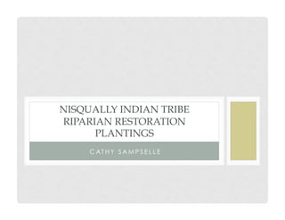 C AT H Y S A M P S E L L E
NISQUALLY INDIAN TRIBE
RIPARIAN RESTORATION
PLANTINGS
 
