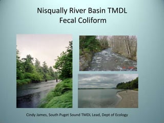 Nisqually River Basin TMDL Fecal Coliform Cindy James, South Puget Sound TMDL Lead, Dept of Ecology 
