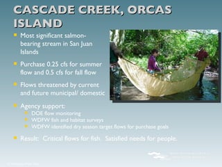 CASCADE CREEK, ORCAS ISLAND Most significant salmon-bearing stream in San Juan Islands Purchase 0.25 cfs for summer flow and 0.5 cfs for fall flow Flows threatened by current and future municipal/ domestic Agency support: DOE flow monitoring  WDFW fish and habitat surveys WDFW identified dry season target flows for purchase goals  Result:  Critical flows for fish.  Satisfied needs for people.  