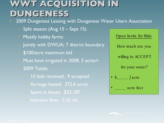 WWT ACQUISITION IN DUNGENESS 2009 Dungeness Leasing with Dungeness Water Users Association  Split season (Aug 15 – Sept 15) Mostly hobby farms Jointly with DWUA; 7 district boundary $100/acre maximum bid Must have irrigated in 2008, 5 acres+ 2009 Totals: 10 bids received;  9 accepted Acreage leased:  372.6 acres Spent in leases:  $32,187 Instream flow:  2.42 cfs Open Invite for Bids How much are you willing to ACCEPT for your water? $ _____ /  acre _____ acre feet 