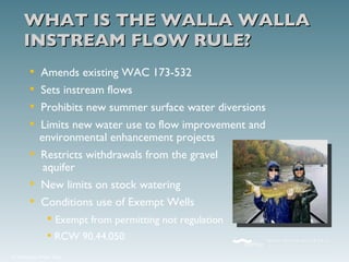 WHAT IS THE WALLA WALLA INSTREAM FLOW RULE? Amends existing WAC 173-532 Sets instream flows Prohibits new summer surface water diversions Limits new water use to flow improvement and   environmental enhancement projects Restricts withdrawals from the gravel   aquifer New limits on stock watering  Conditions use of Exempt Wells Exempt from permitting not regulation RCW 90.44.050 