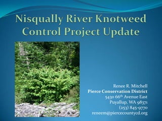 Nisqually River Knotweed Control Project Update Renee R. Mitchell Pierce Conservation District   5430 66th Avenue East Puyallup, WA 98371 (253) 845-9770 reneem@piercecountycd.org 