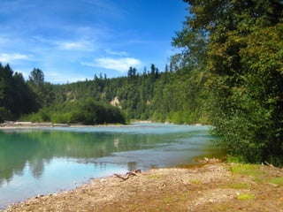 Nisqually State Park Update 2010