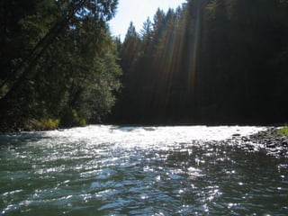 Nisqually State Park Update 2010