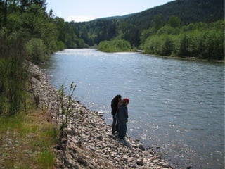 Nisqually State Park Update 2010