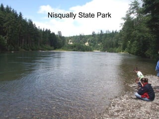 Nisqually State Park
 
