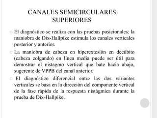 CANALES SEMICIRCULARES
             SUPERIORES
 El diagnóstico se realiza con las pruebas posicionales: la
  maniobra de Dix-Hallpike estimula los canales verticales
  posterior y anterior.
 La maniobra de cabeza en hiperextesión en decúbito
  (cabeza colgando) en línea media puede ser útil para
  demostrar el nistagmo vertical que bate hacia abajo,
  sugerente de VPPB del canal anterior.
 El diagnóstico diferencial entre las dos variantes
  verticales se basa en la dirección del componente vertical
  de la fase rápida de la respuesta nistágmica durante la
  prueba de Dix-Hallpike.
 