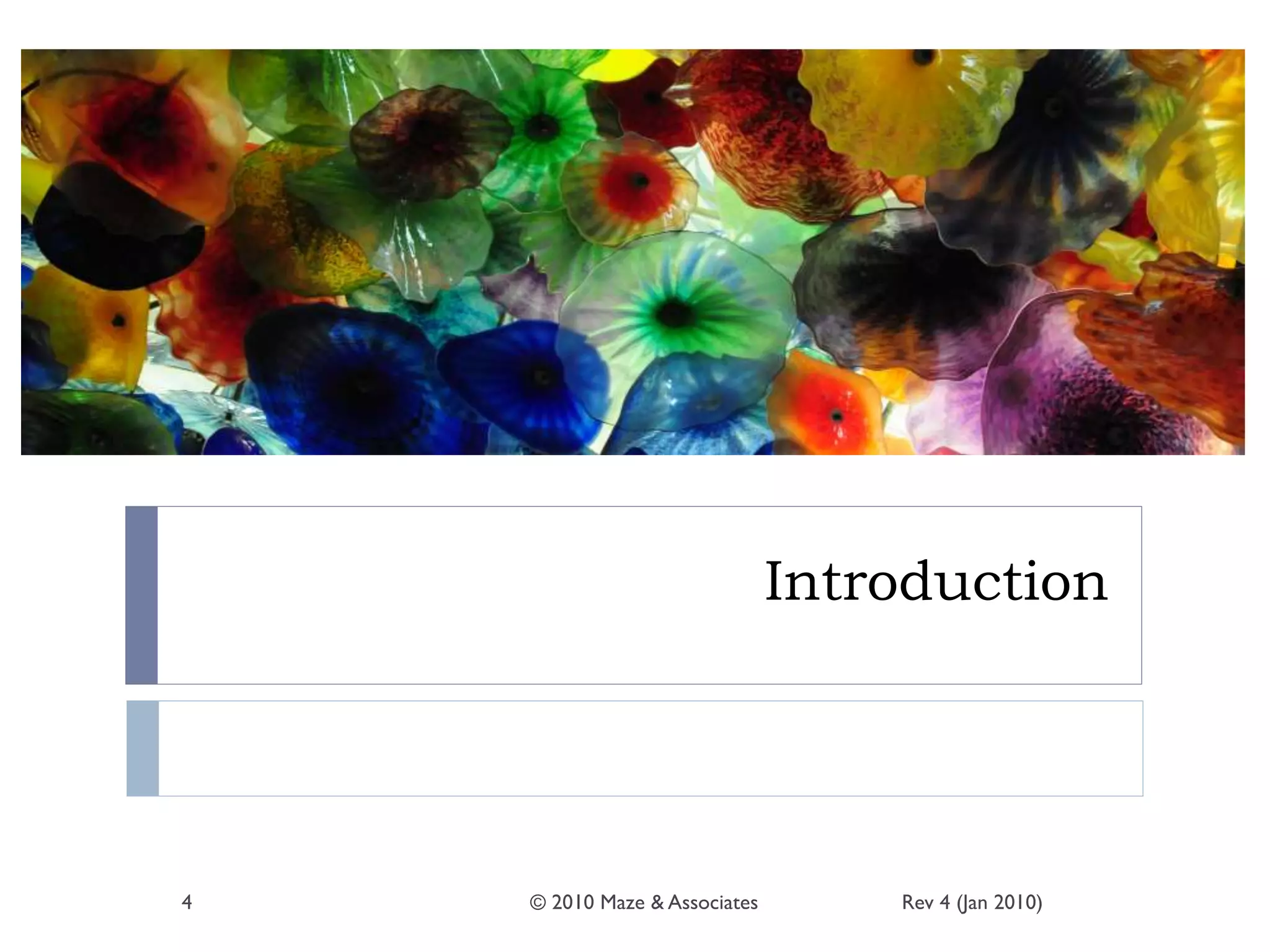 Introduction
Rev 4 (Jan 2010)© 2010 Maze & Associates4
 