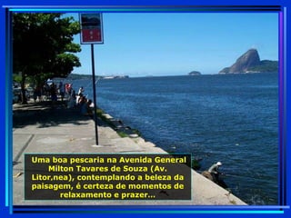 Uma boa pescaria na Avenida General Milton Tavares de Souza (Av. Litorânea), contemplando a beleza da paisagem, é certeza de momentos de relaxamento e prazer… 
