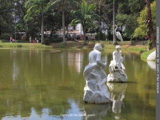 Campo de São Bento - Icaraí NITERÓI  PELA  LENTE  DE  RICARDO  ZERRENNER 